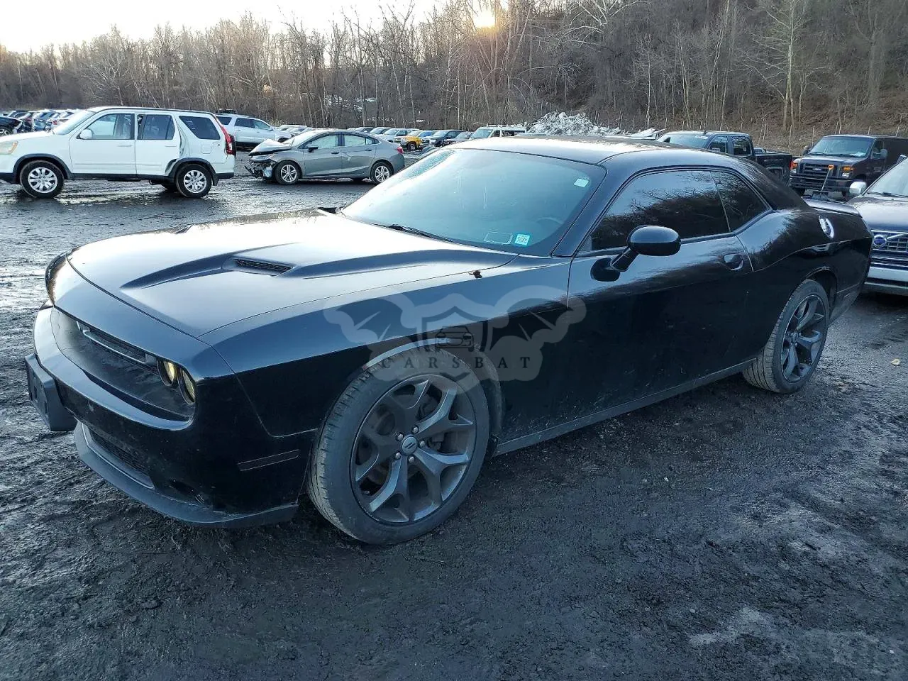 Dodge Challenger SXT 3.6L 6 2017