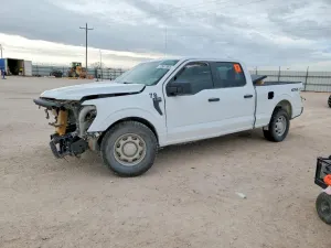 Ford F-150 XL 5.0L 8 2024