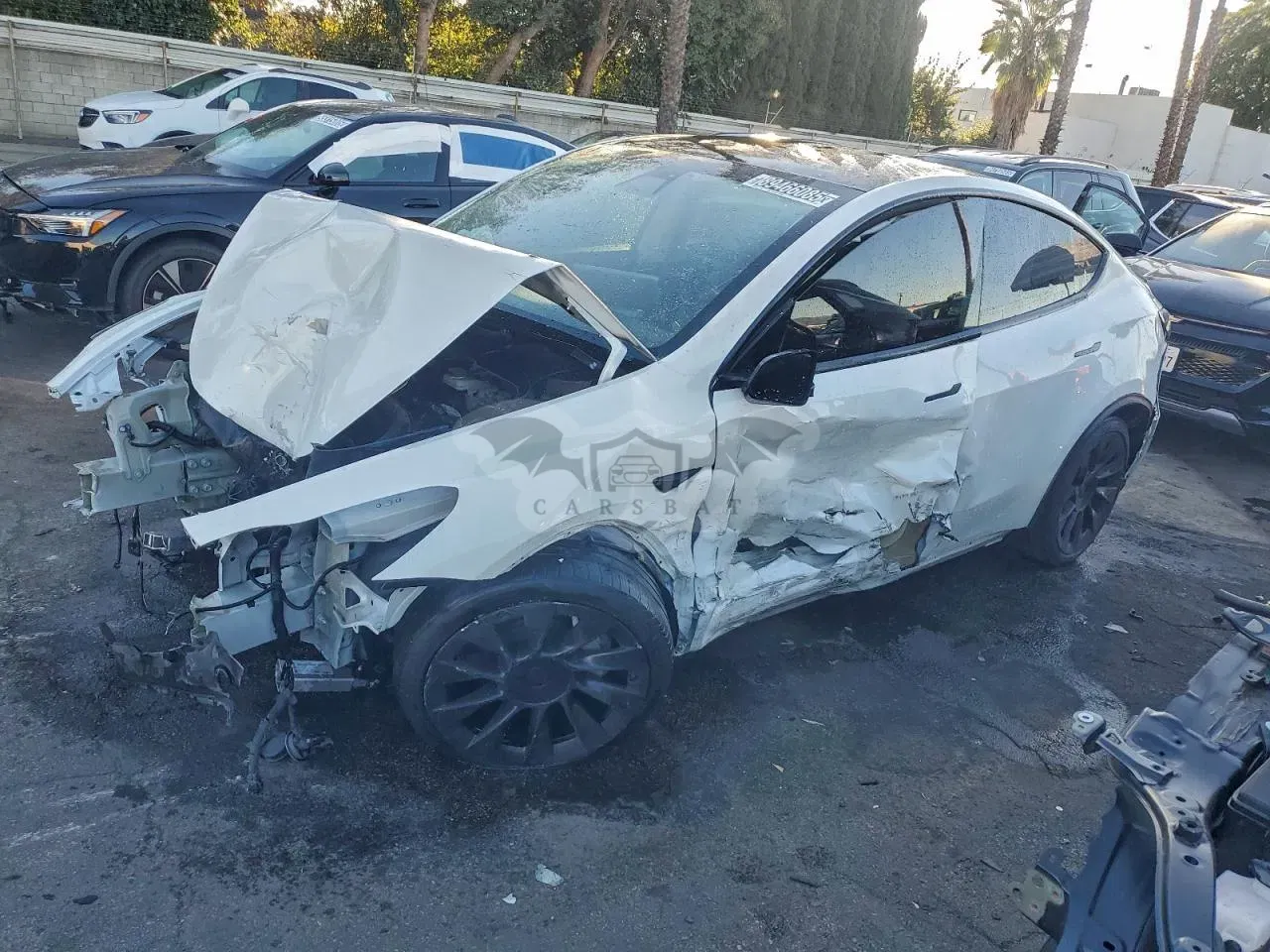 Tesla Model Y 2020