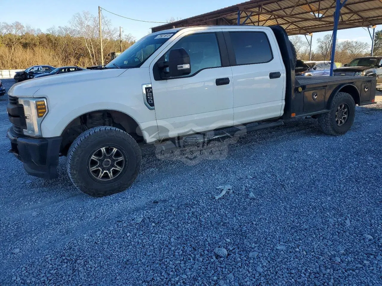 Ford F-250 SUPER DUTY 6.2L 8 2019