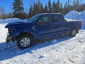 Ford F-150 SUPERCREW 5.0L 8 2023