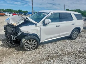 Hyundai Palisade SEL 3.8L 6 2024