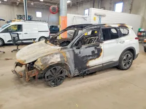Hyundai Santa Fe 2.0L 4 2020