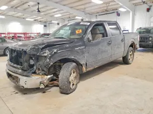 Ford F-150 SUPERCREW 4.6L 8 2010