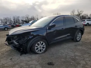 Ford Escape ACTIVE 1.5L 3 2024