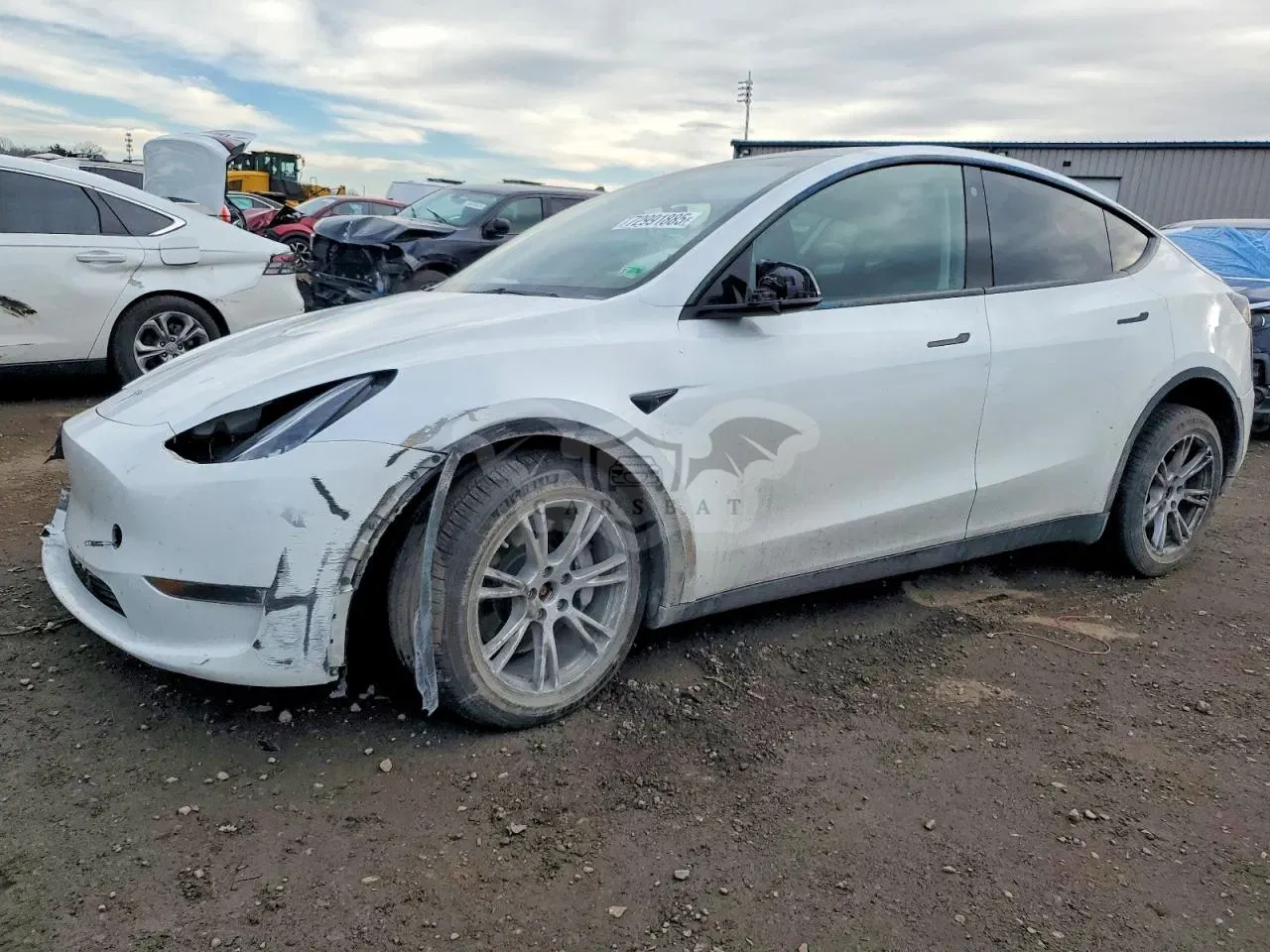 Tesla Model Y 2023