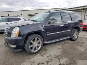 Cadillac Escalade LUXURY 6.2L 8 2011