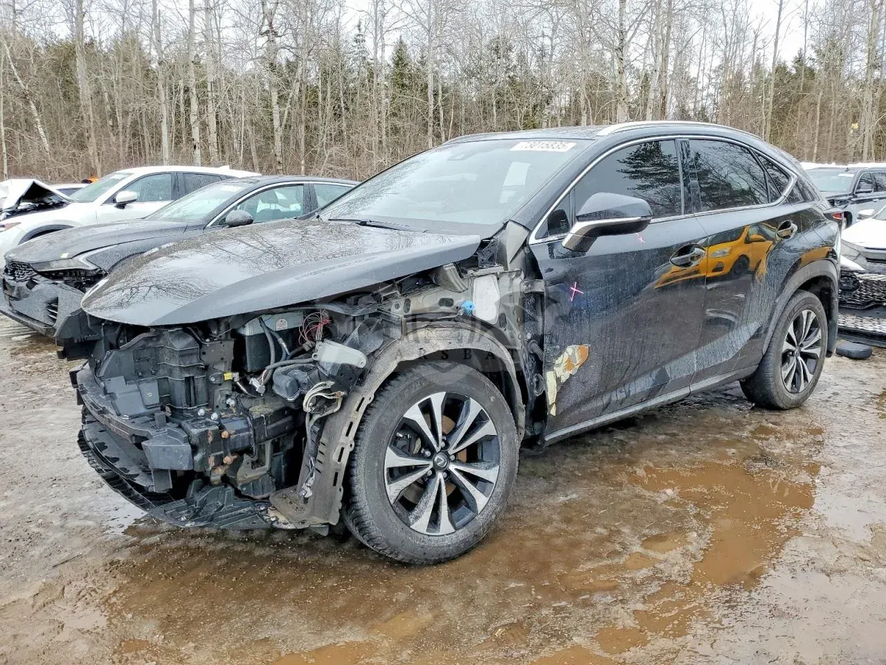 Lexus NX 300 BASE 2.0L 4 2018