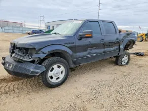 Ford F-150 SUPERCREW 5.0L 8 2014