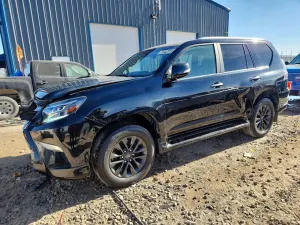 Lexus GX 4.6L 8 2020