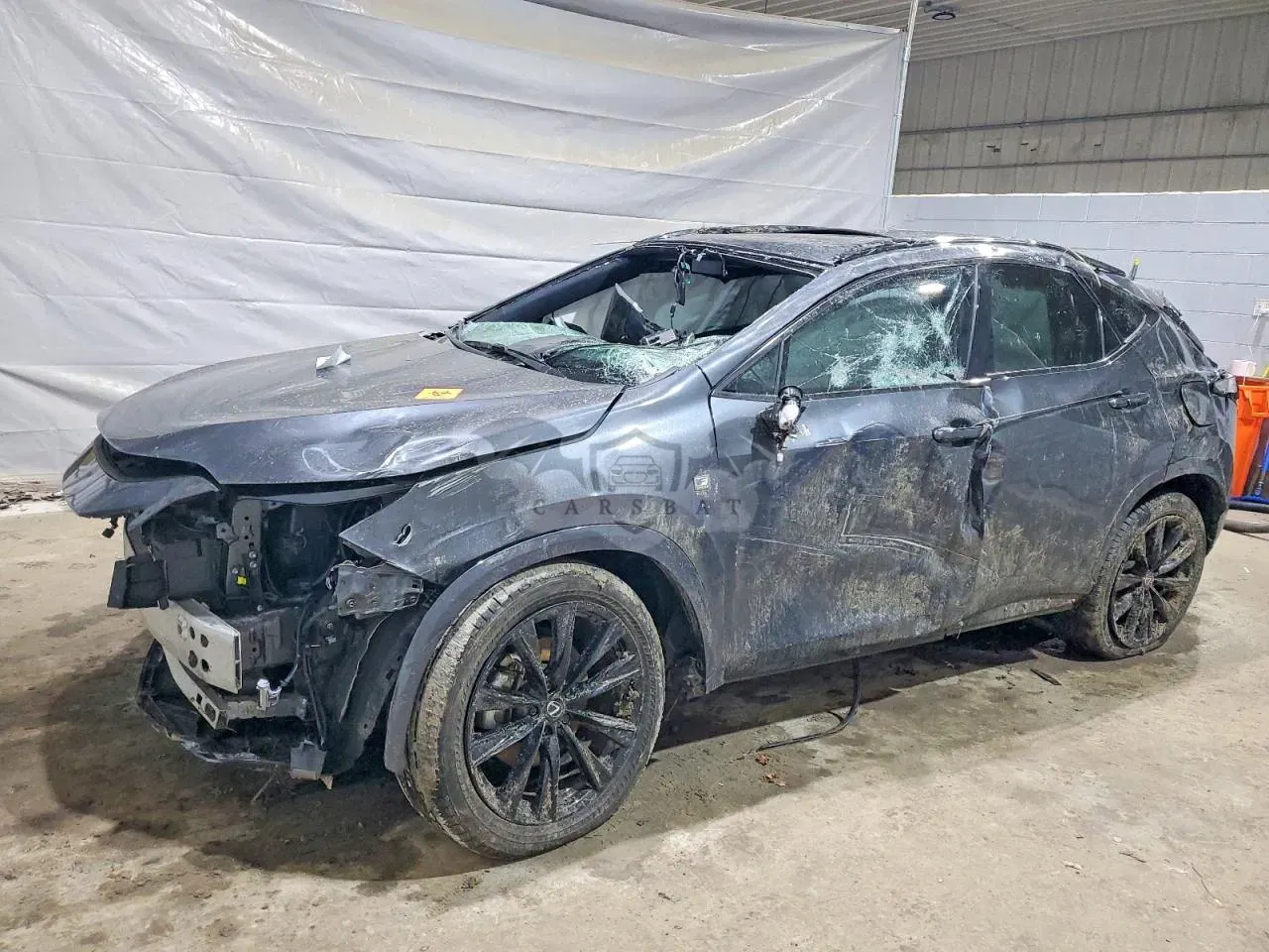 Lexus NX 2.4L 4 2025