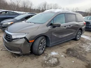 Honda Odyssey EXL 3.5L 6 2023