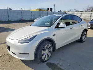 Tesla Model Y 2020