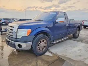 Ford F-150 4.6L 8 2009