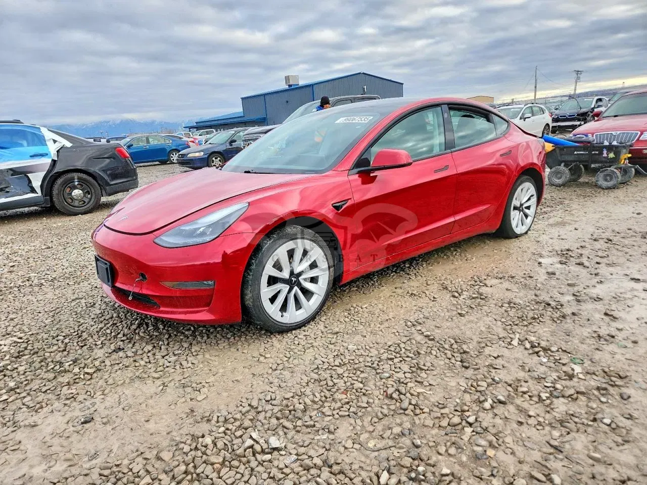 Tesla Model 3 2021