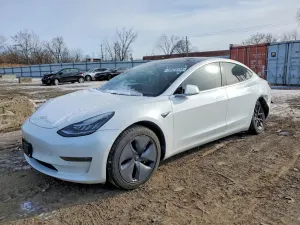 Tesla Model 3 2019