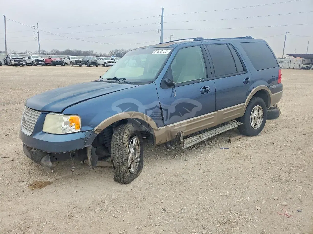 Ford Expedition EDDIE BAUER 5.4L 8 2004