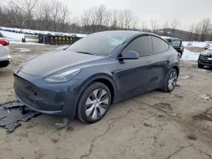 Tesla Model Y 2024