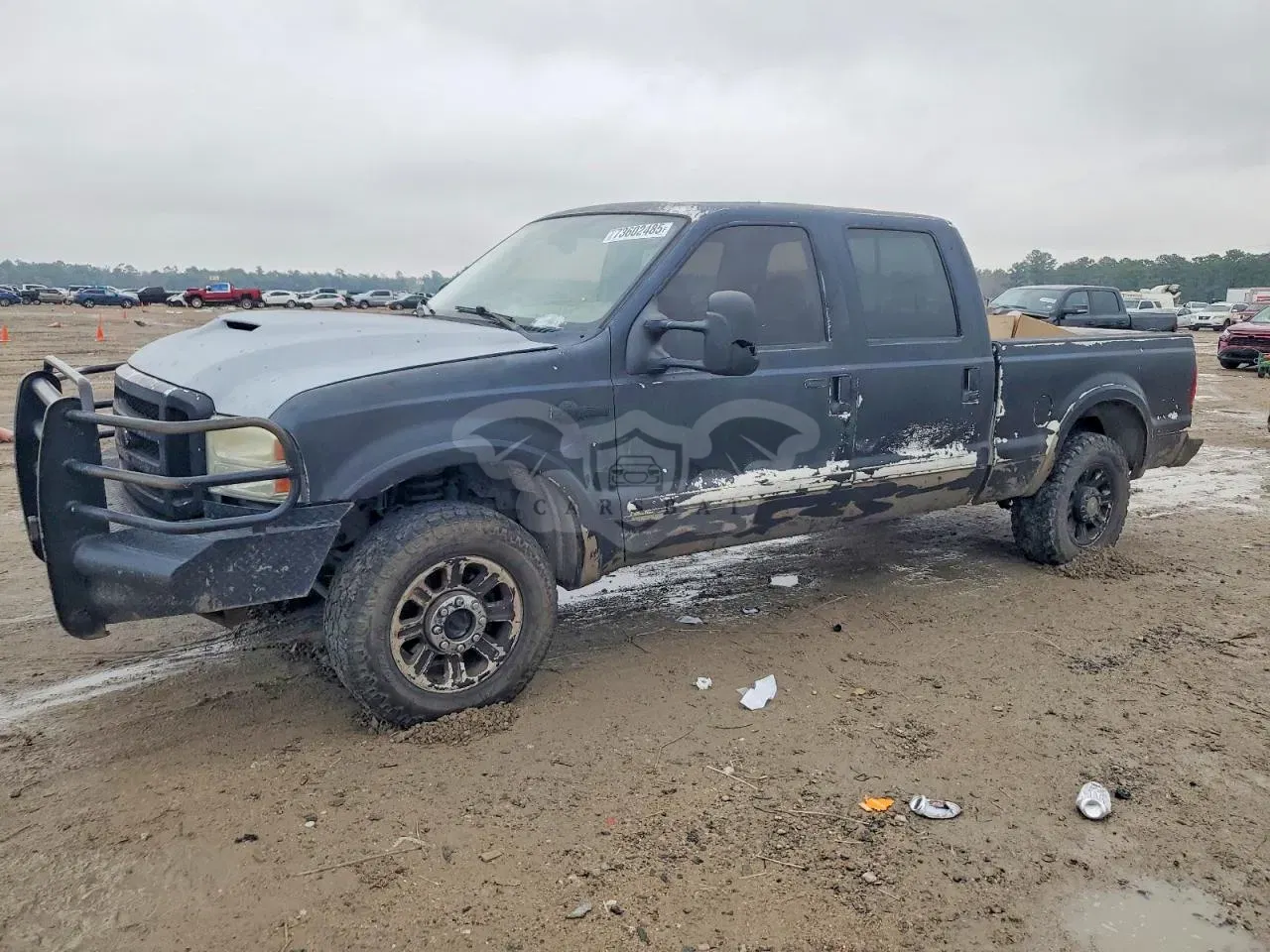 Ford F-250 SUPER DUTY 6.0L 8 2006