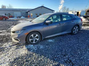 Honda Civic 2.0L 4 2019