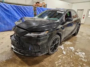 Lexus RX 2.4L 4 2023
