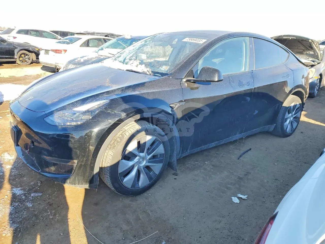 Tesla Model Y 2024