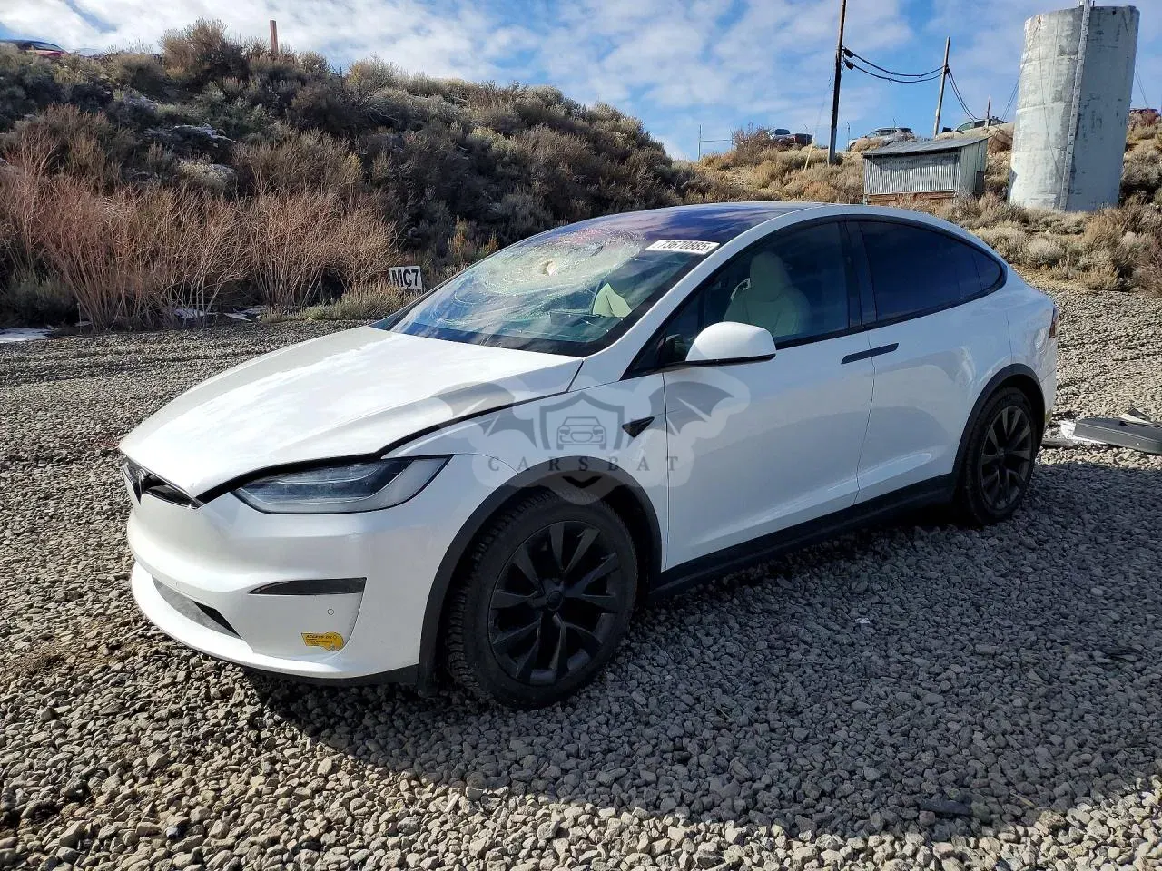 Tesla Model X 2021