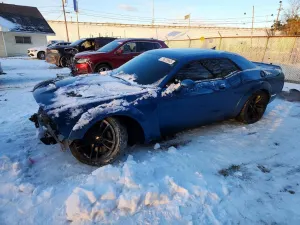 Dodge Challenger R/T SCAT PACK 6.4L 8 2020