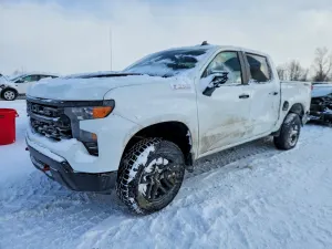 Chevrolet Silverado 1500 K1500 TRAIL BOSS CUSTOM 5.3L 8 2024