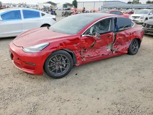 Tesla Model 3 2019