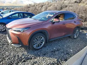 Lexus NX 350H BASE 2.5L 4 2025