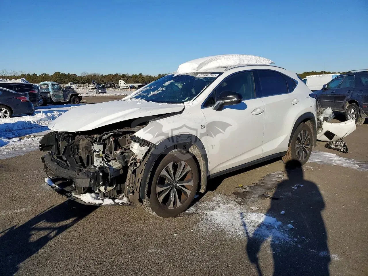 Lexus NX 300 BASE 2.0L 4 2019