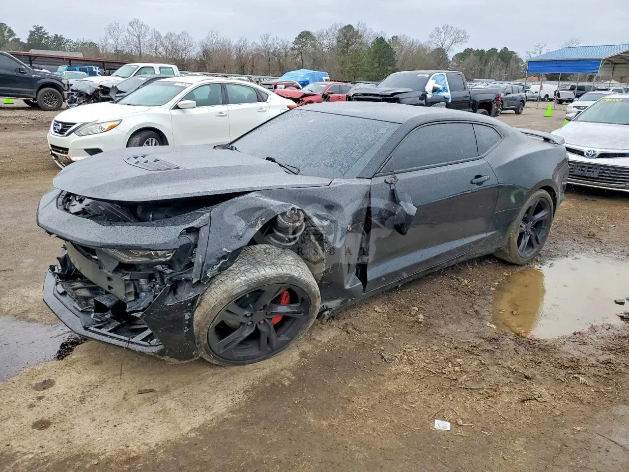 Chevrolet Camaro SS 6.2L 8 2019
