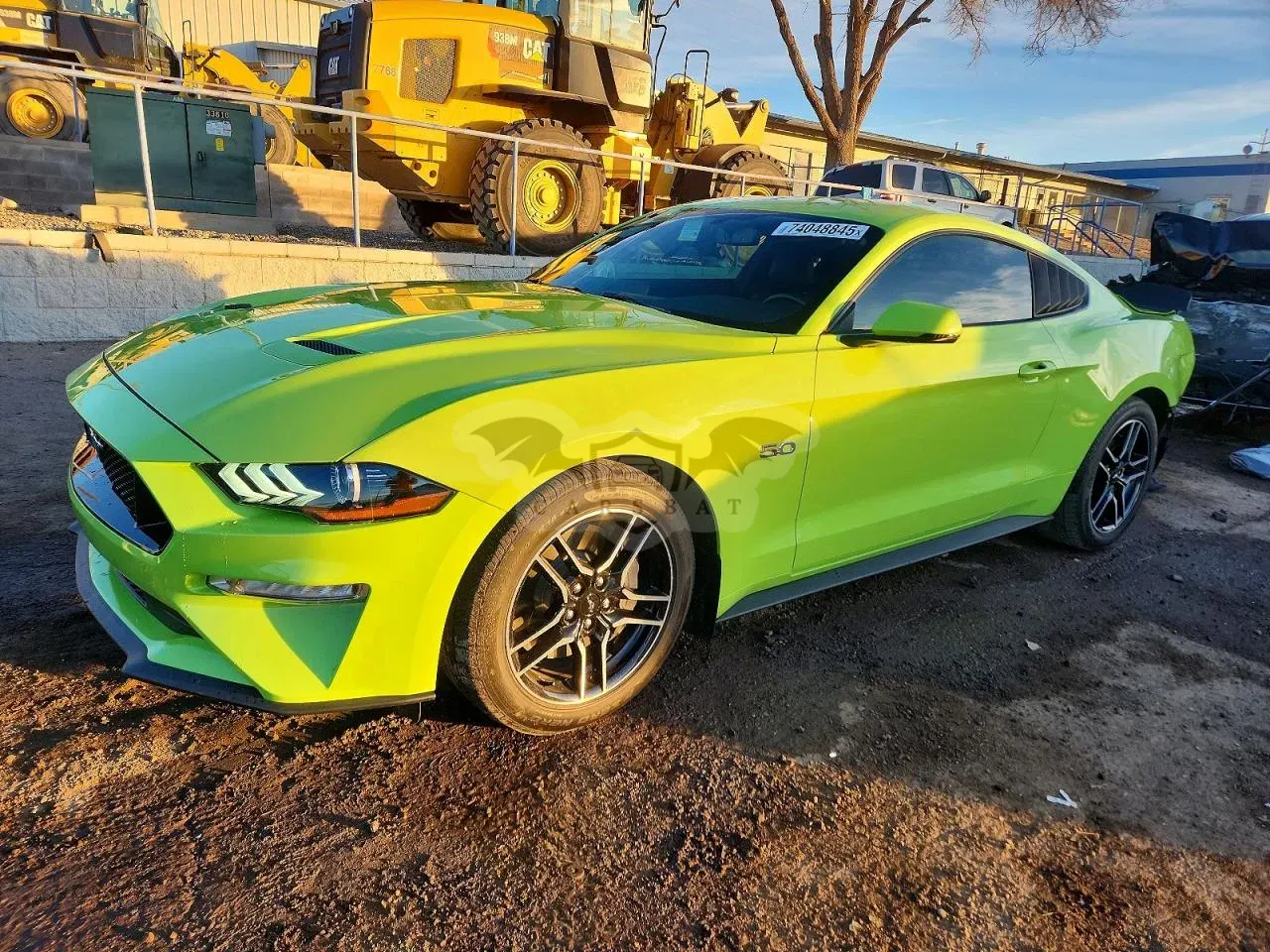 Ford Mustang GT 5.0L 8 2020