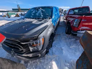 Ford F-150 5.0L 8 2023
