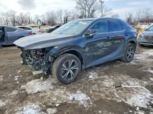 Lexus RX 350 BASE 2.4L 4 2023