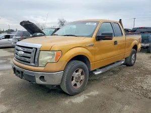 Ford F-150 SUPER CAB 5.4L 8 2009
