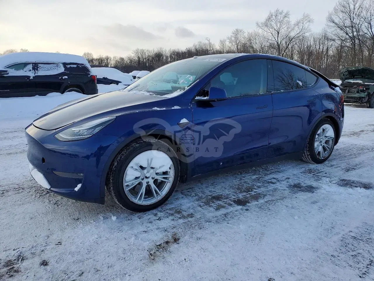 Tesla Model Y 2020