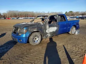 Ford F-150 5.0L 8 2013