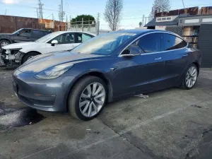 Tesla Model 3 2019