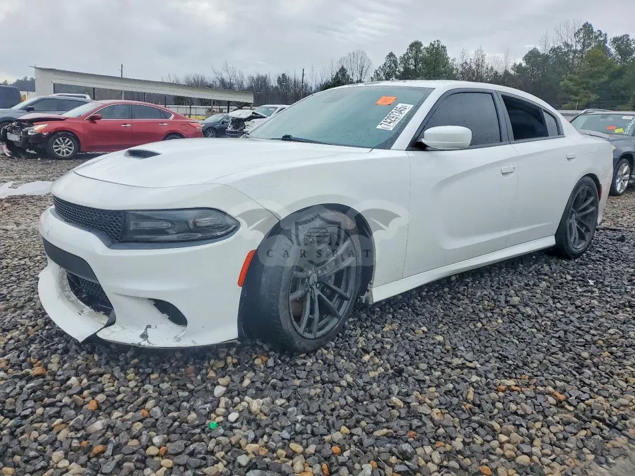 Dodge Charger R/T 392 6.4L 8 2017