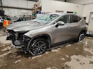 Lexus NX 350 PREMIUM 2.4L 4 2025