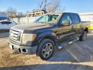 Ford F-150 SUPERCREW 5.4L 8 2009