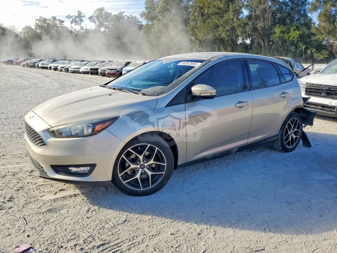 Ford Focus 2.0L 4 2017