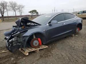 Tesla Model 3 2019