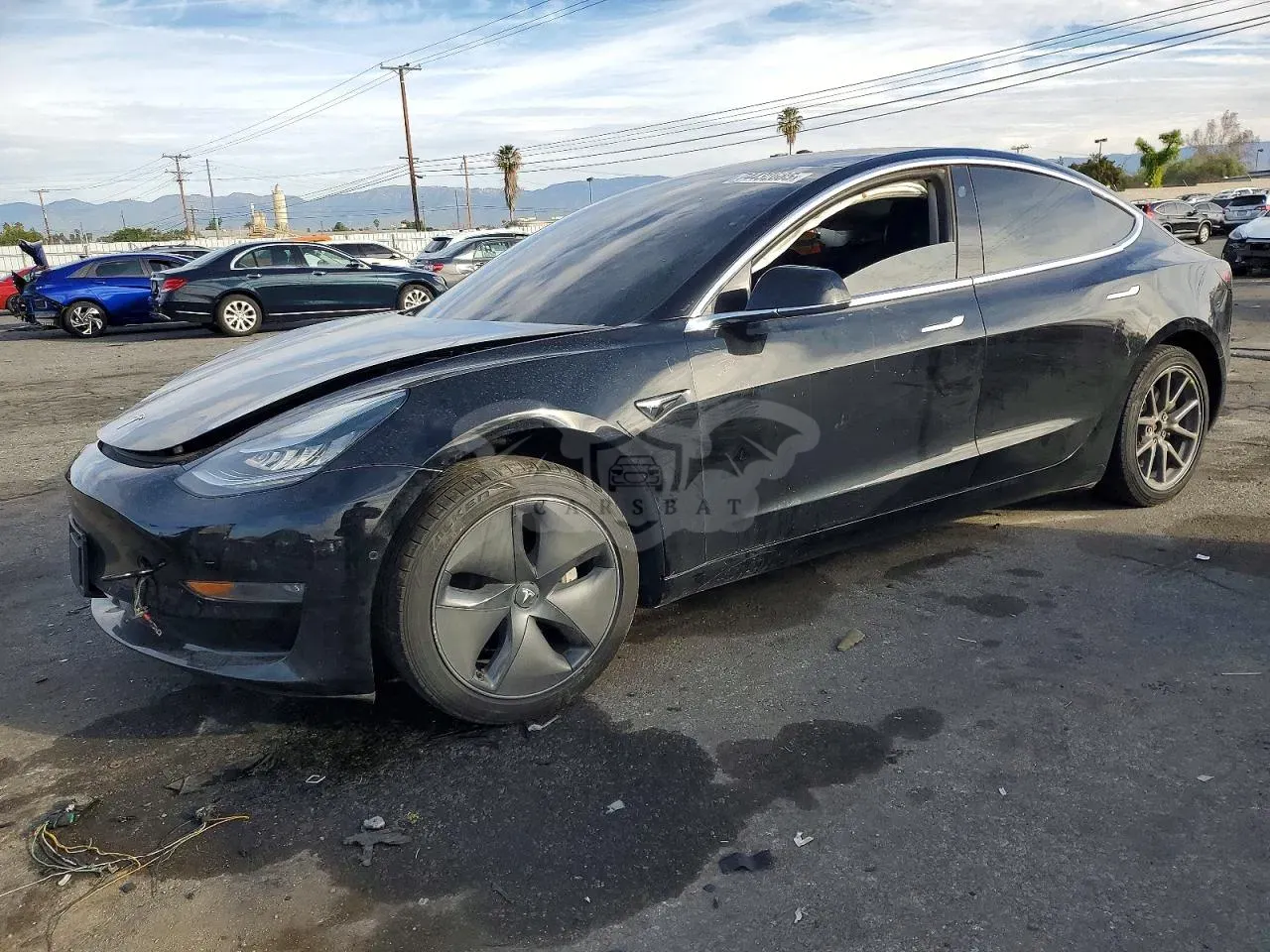 Tesla Model 3 2019