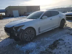 Kia Stinger 2.0L 4 2019