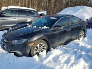 Honda Civic EX 2.0L 4 2020