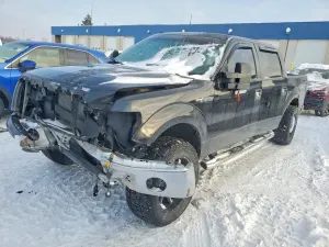 Ford F-150 5.0L 8 2013