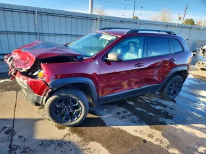 Jeep Cherokee TRAILHAWK 2.0L 4 2019